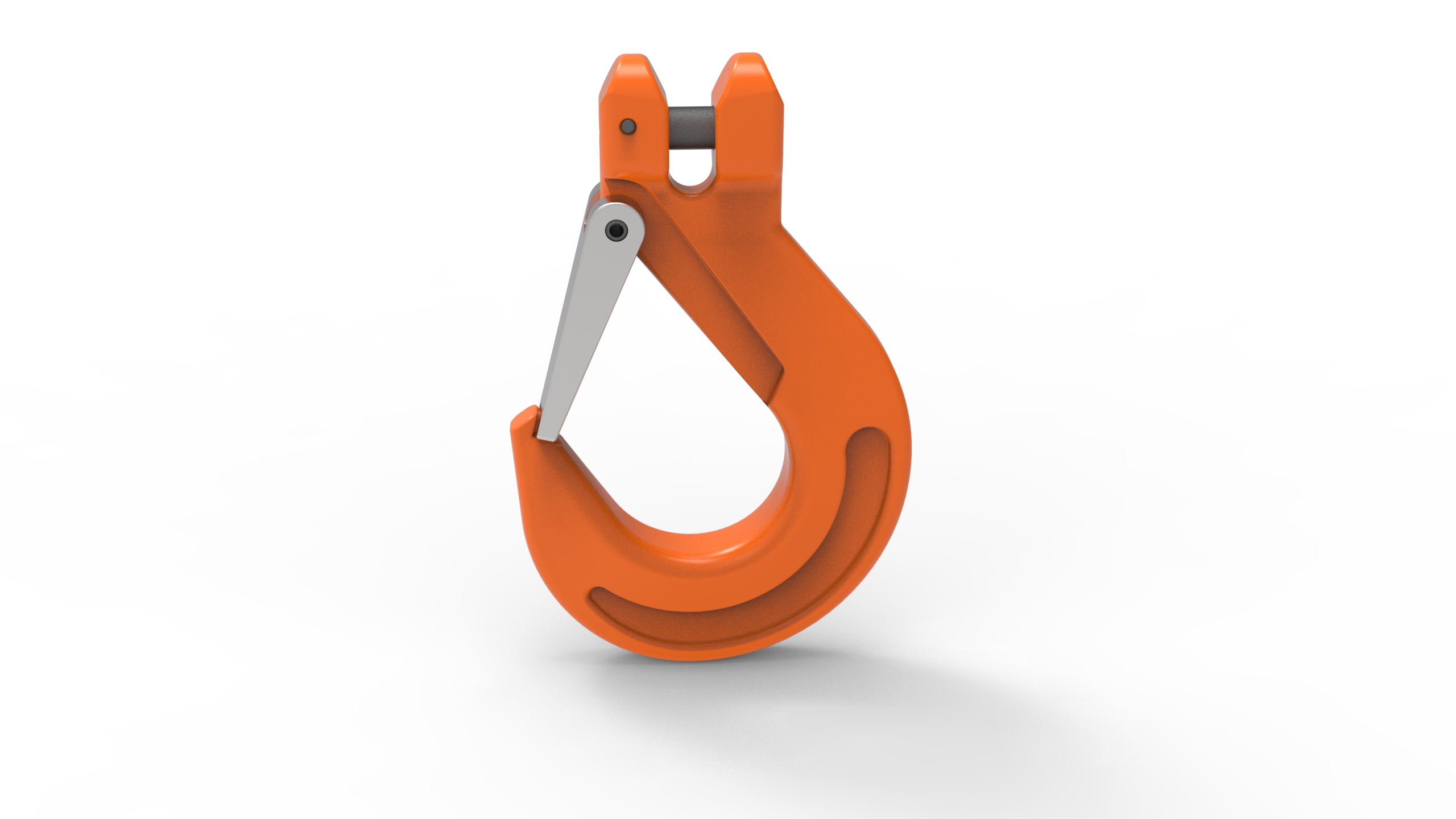 G80 Eye Hook with Latch